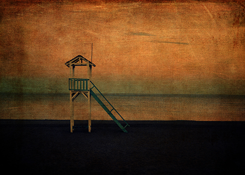 The Lookout © Sarah Vernon Buy at Crated