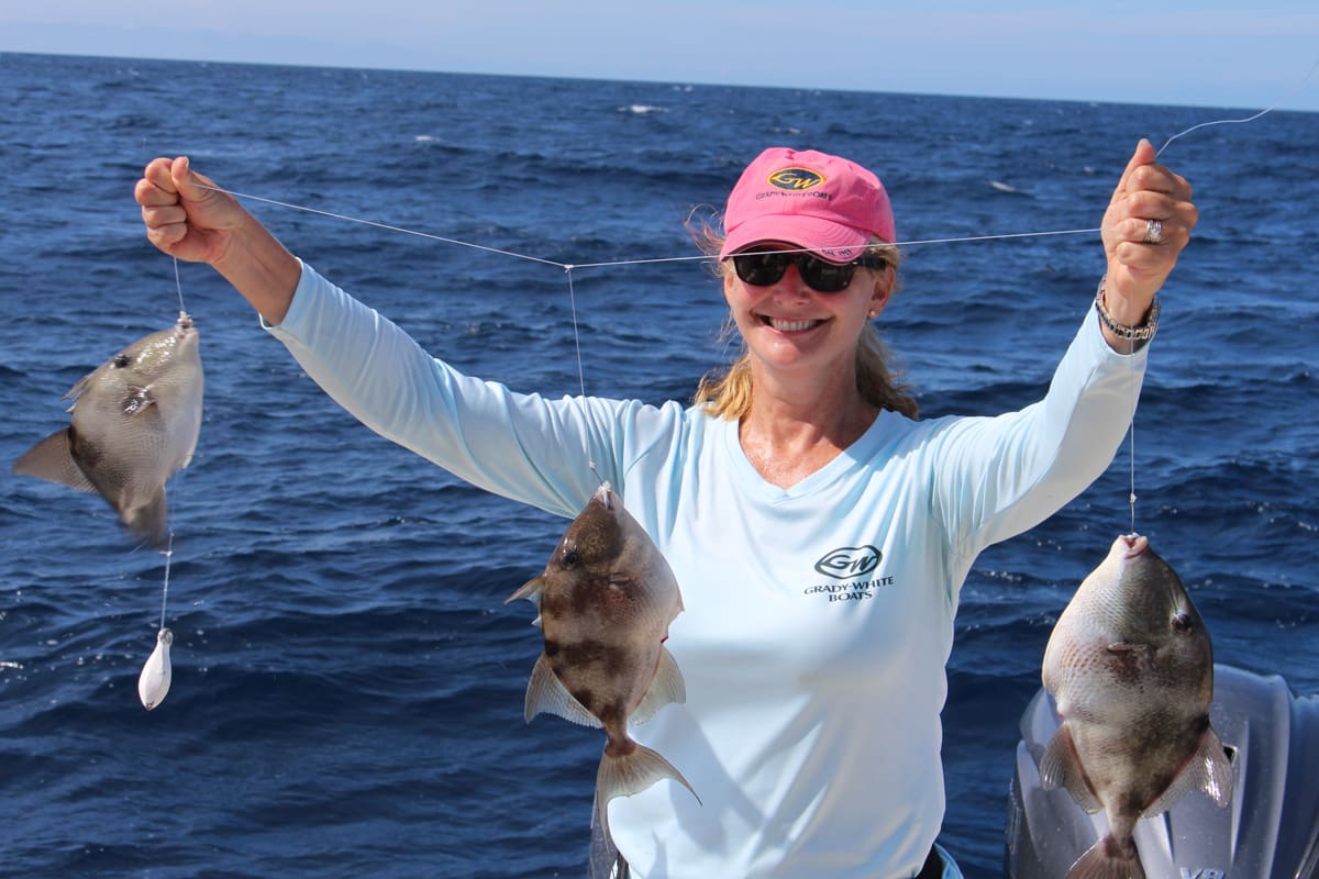 5 Triggerfish Tips Texas Fish & Game Magazine