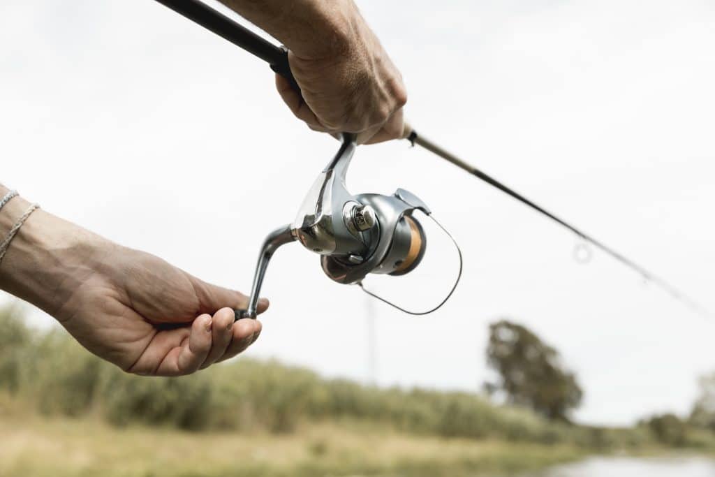 The best fishing rods and poles, according to experts. How To Choose A Fishing Rod Ultimate Guide Fishing Pioneer