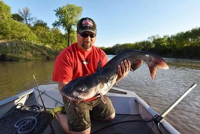 rippin lips catfish rod for sale