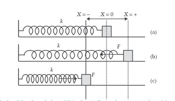 Mulyadi abdul wahid1,2, eka tiara1, intan rauh riantin1, . Getaran Harmonik Pembelajaran Fisika