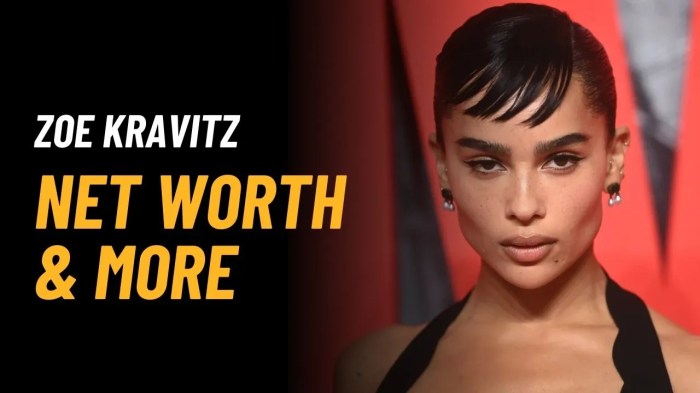 Zoe kravitz net worth