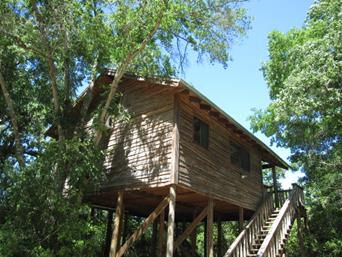 Gruene cottages, new braunfels, texas, united states of americadestination. 12 Tempting Tree House Cabins in Texas - Flavorverse