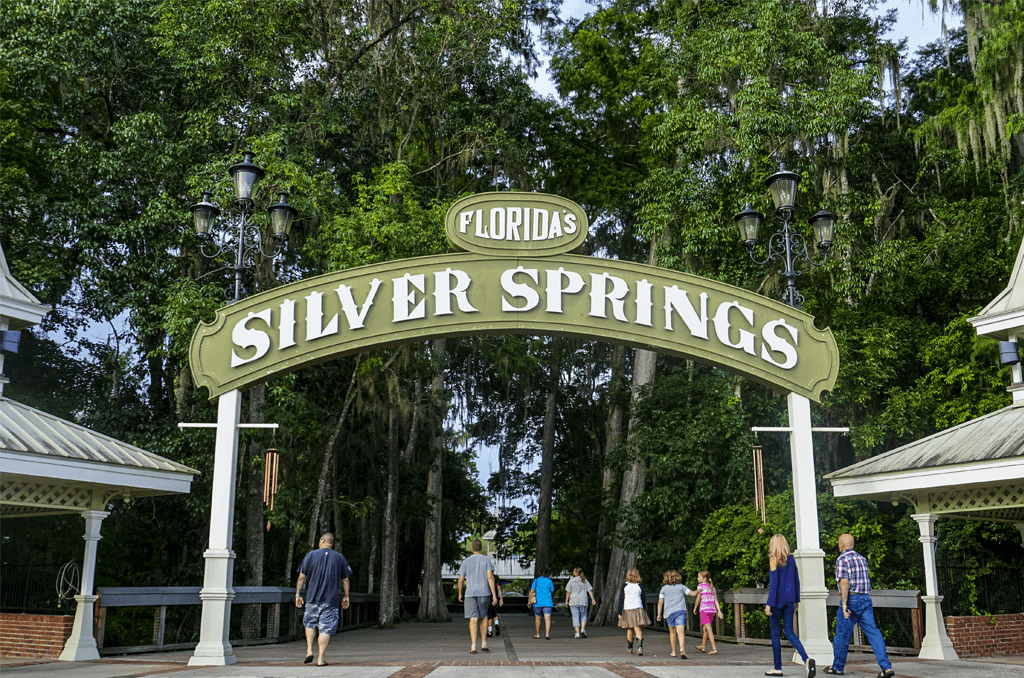 Welcome aboard our flagship glassbottom boat, spirit of pennekamp. After Years Of Battling Florida Glass Bottom Boat Attraction Will Become Wheelchair Accessible Florida Insider