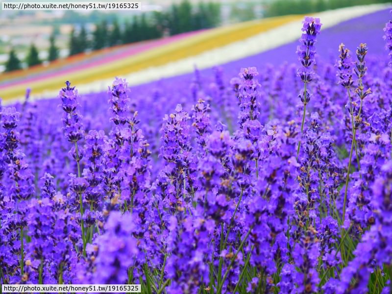 【熱血背包女】2014夏‧北海道家族之旅～速記心得