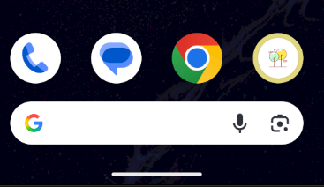 Flutter App Icon Logo in App