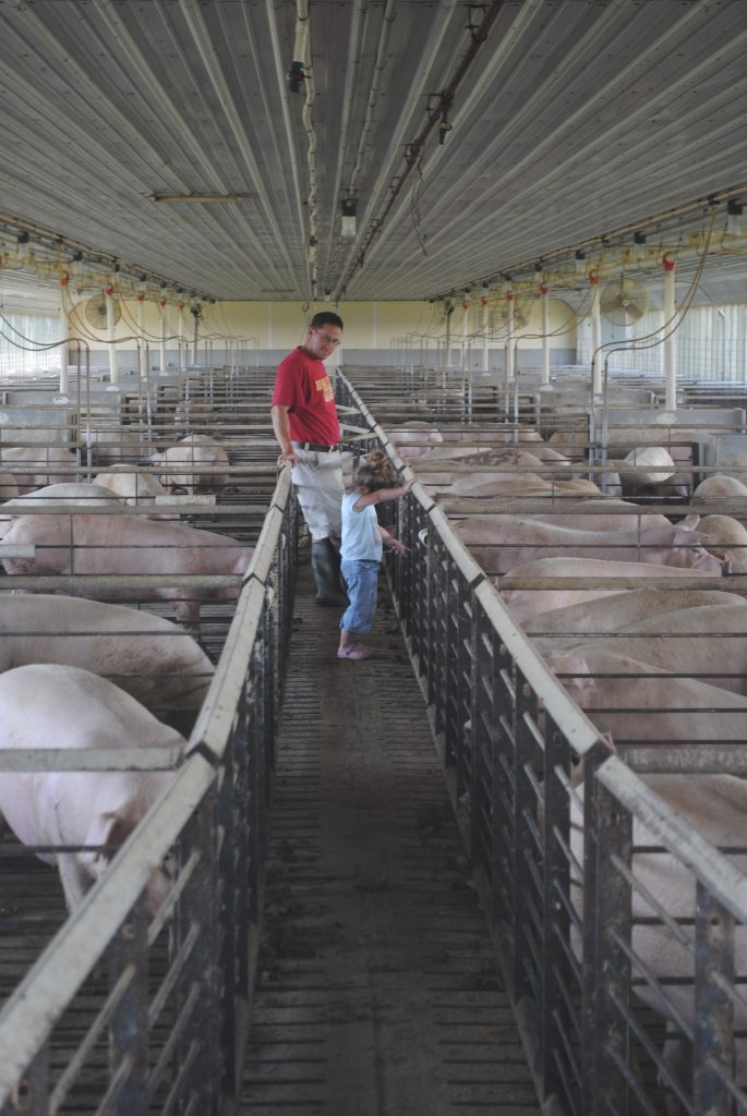 John coletti/getty images if you're raising pigs for meat on your small farm or homestead, you'll w. Modern Pig Farming - Food & Swine