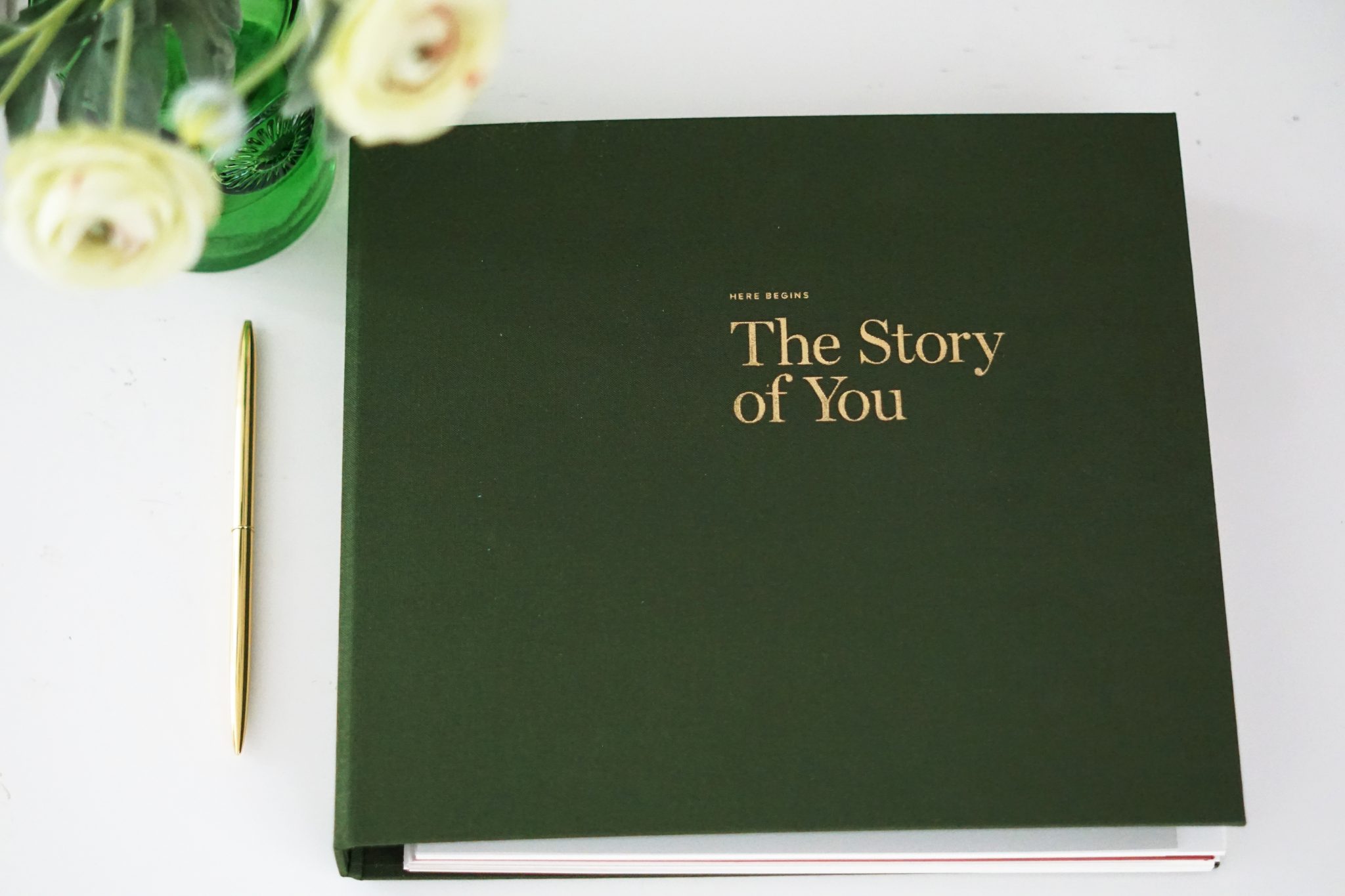 baby book the story of you