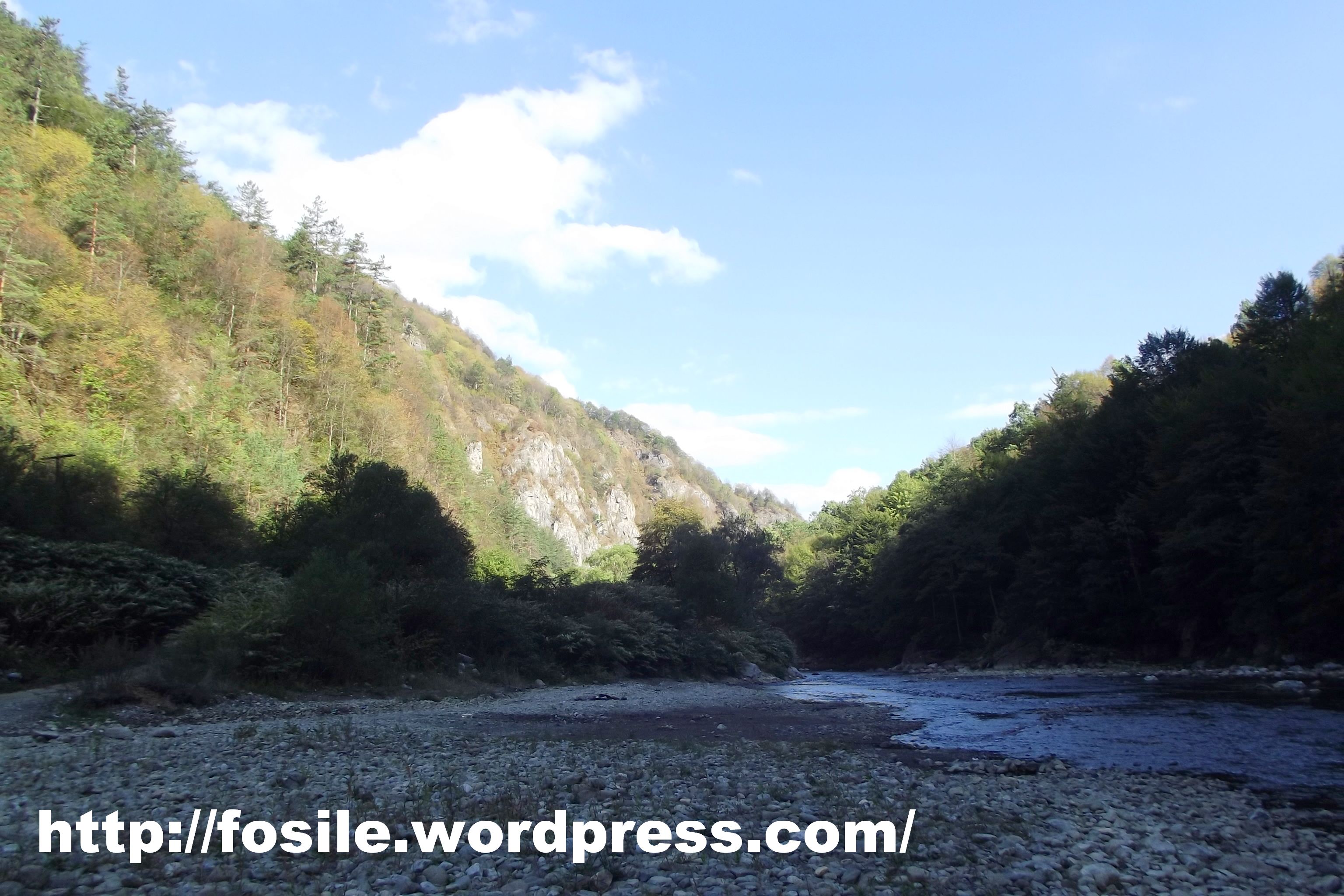 A de grisogono turquoise and amethyst ring is town & country's jewel of the day. Baia De Aries Fosile Si Pietre