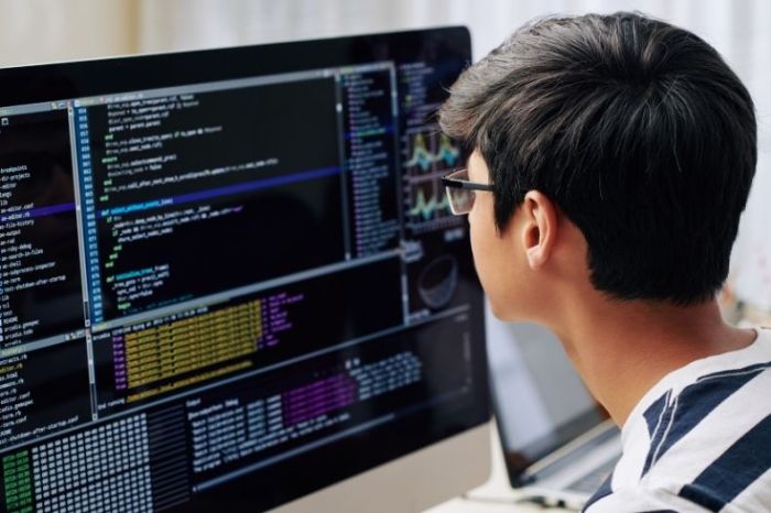 Are programmers in demand globally