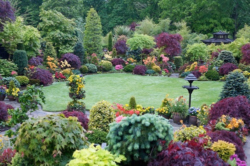 I really appreciate you mentioning that clients could choose between a slow and a fast sloping terrace for their landscaped gardens. Conifers Four Seasons Garden A Garden Like No Other