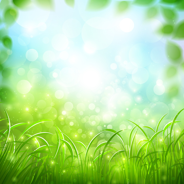 206000+ vectors, stock photos & psd files. Spring Green Grass Background Vector Free Download