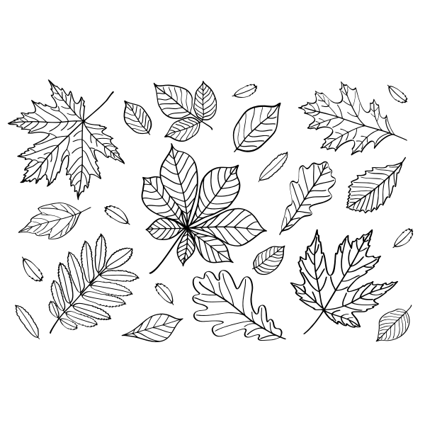 Serve a thanksgiving meal for your fami. Autumn Leaves Outlines Free Svg