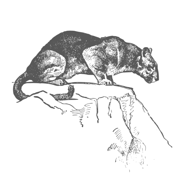 Cougar pride svg free, instant download, cougars svg, vector, cut file, free svg cutting files, cougarss, cricut, silhouette file, png, dxf 0091. Cougar Free Svg