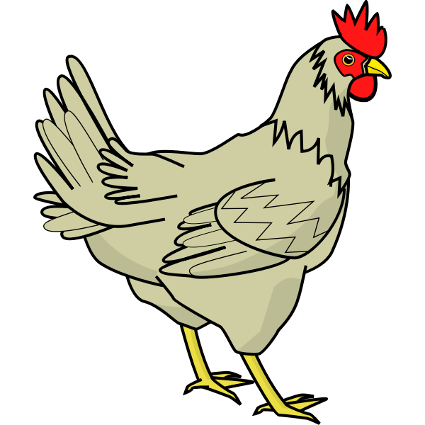 Designbundles.net offer exclusive deals on high quality premium design resources and free design resources. Drawing Of Poultry Bird Free Svg