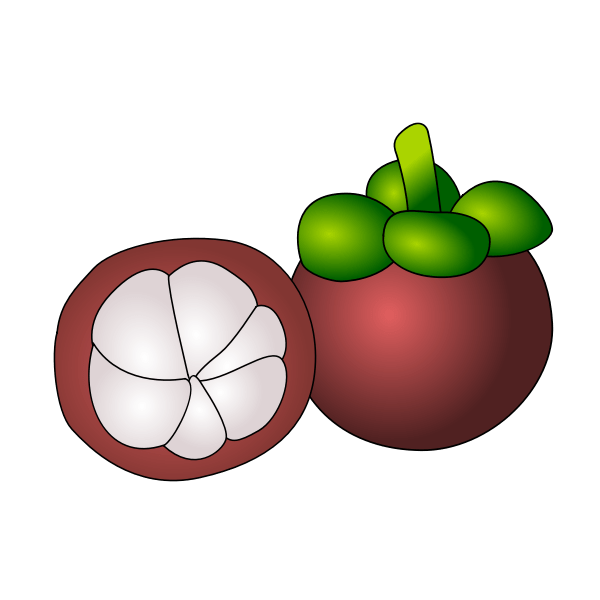 Play.google.com (apk desain rumah ini bisa kamu temukan dengan mudah melalui laman google play store atau tautan di bawah ini.) aplikasi desain rumah gratis yang pertama adalah planner 5d.sesuai namanya, aplikasi ini didesain untuk membuat konsep rumah langsung melalui layar smartphone kamu. Manggis Free Svg