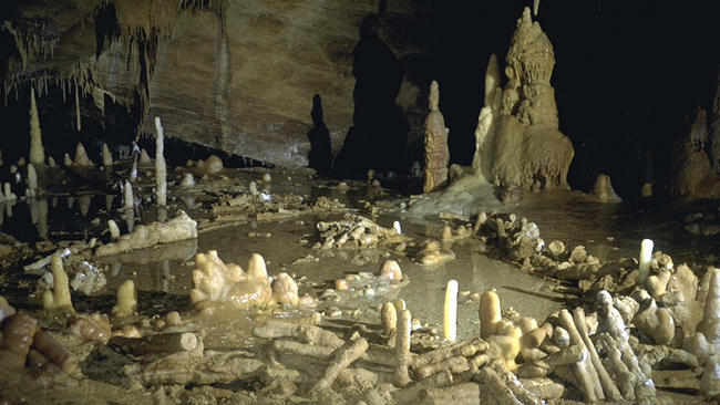 Archaeologists say the circular structures discovered deep in a cave in southwestern France were constructed by Neanderthals 176,000 years ago. (Etienne Fabre / SSAC)