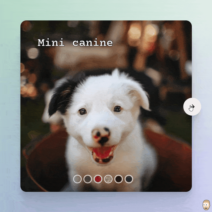 Circle Swap Photo Gallery React & GSAP Coding Fribly