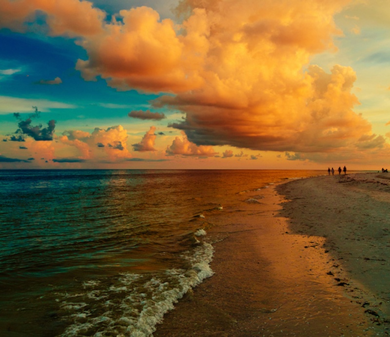 50+ Fresh One Bedroom Apartments St Petersburg Fl : The 14 Best Beaches in Florida: Sanibel Island, St. Pete - The average rent in saint petersburg is $1,839.