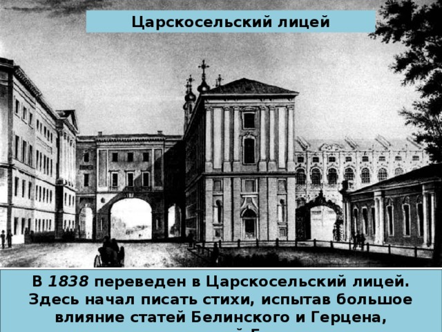 Descarga una presentación sobre el tema de los salados. Presentación "M.E. Saltykov-Shchedrin