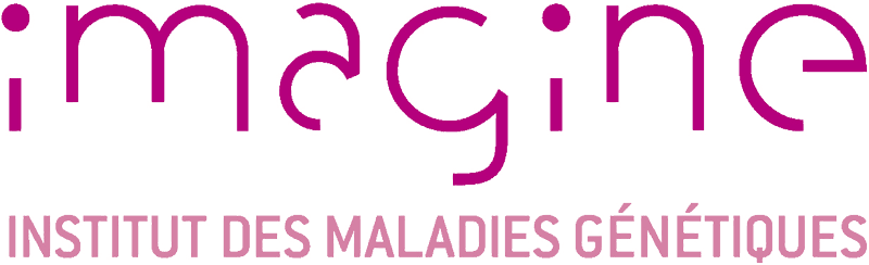 Fully funded PhD position at Imagine Institute, Paris – FSSCR