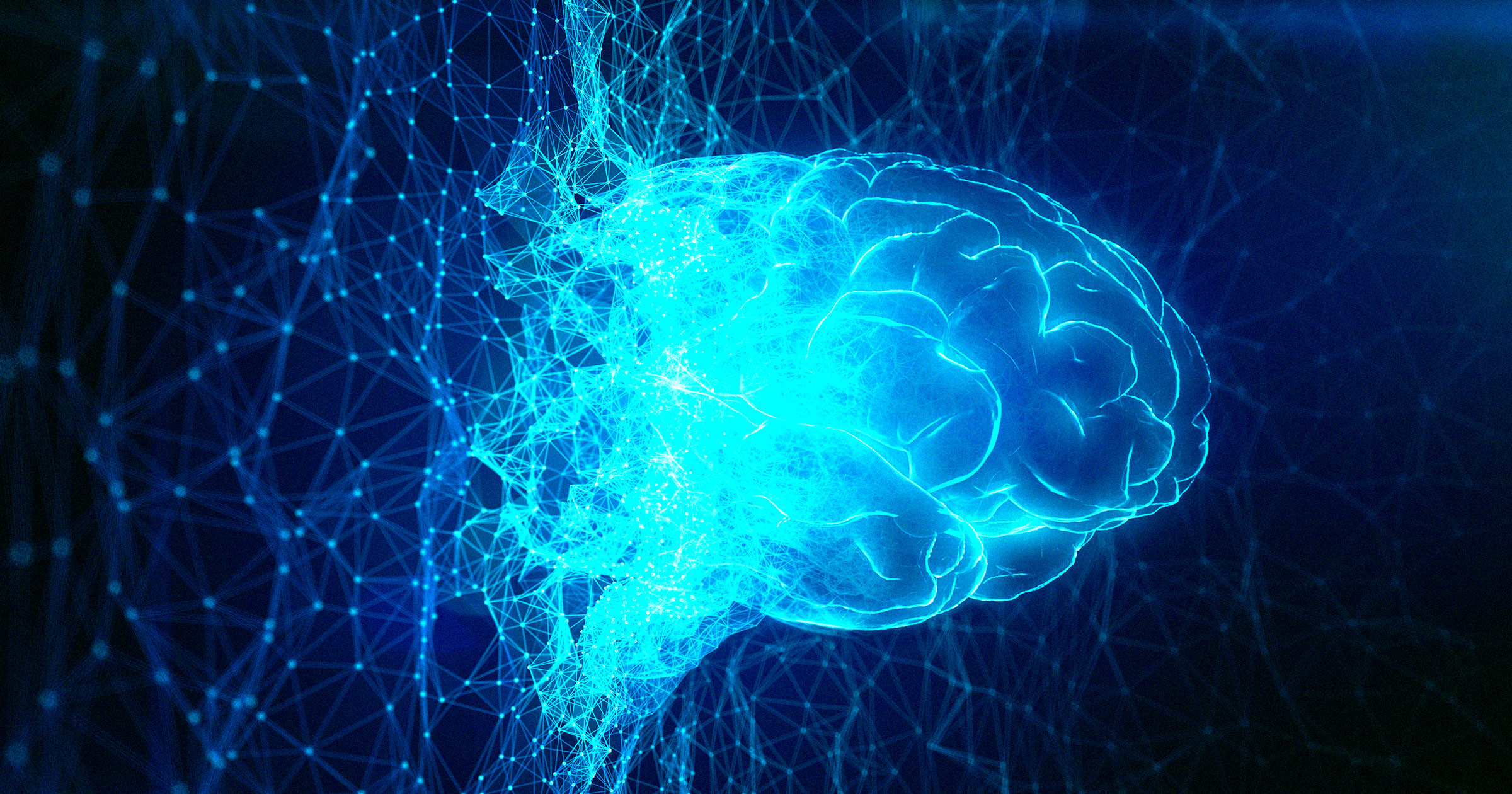 Scientists are preparing to simulate the human brain on a supercomputer