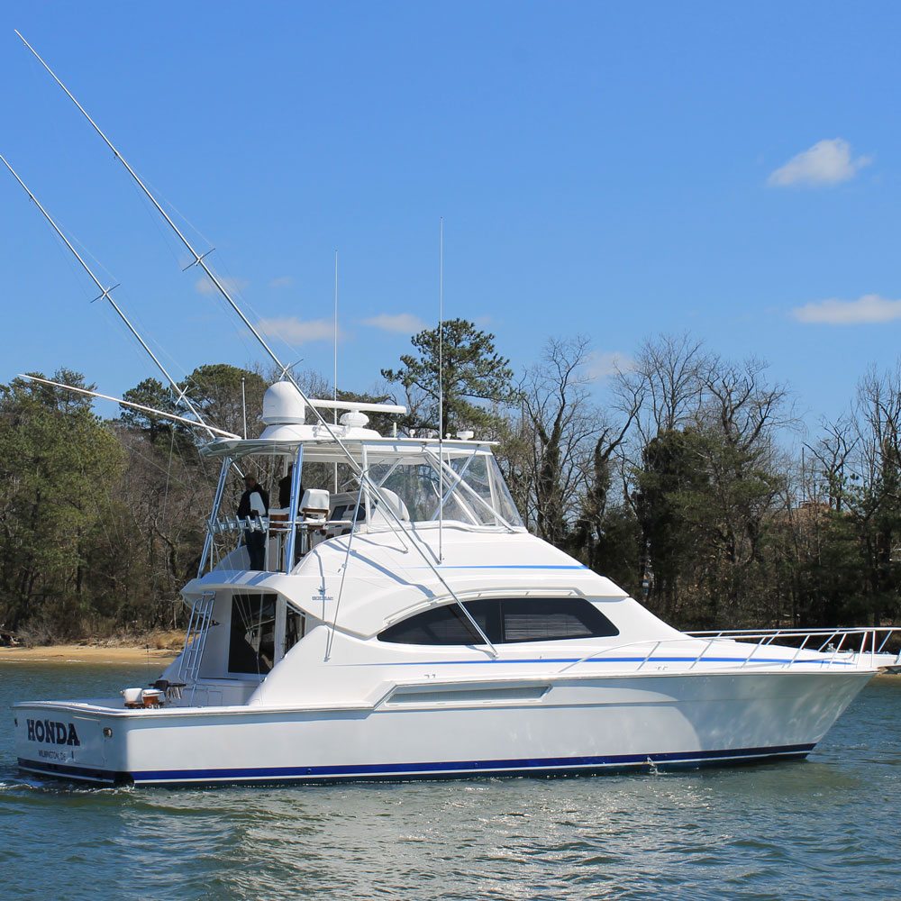 Are you researching or are. Charter Fishing Charter Boats Maryland Virginia Washington Dc