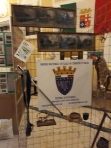 Lo stand della Sezione UNUCI di Gallarate