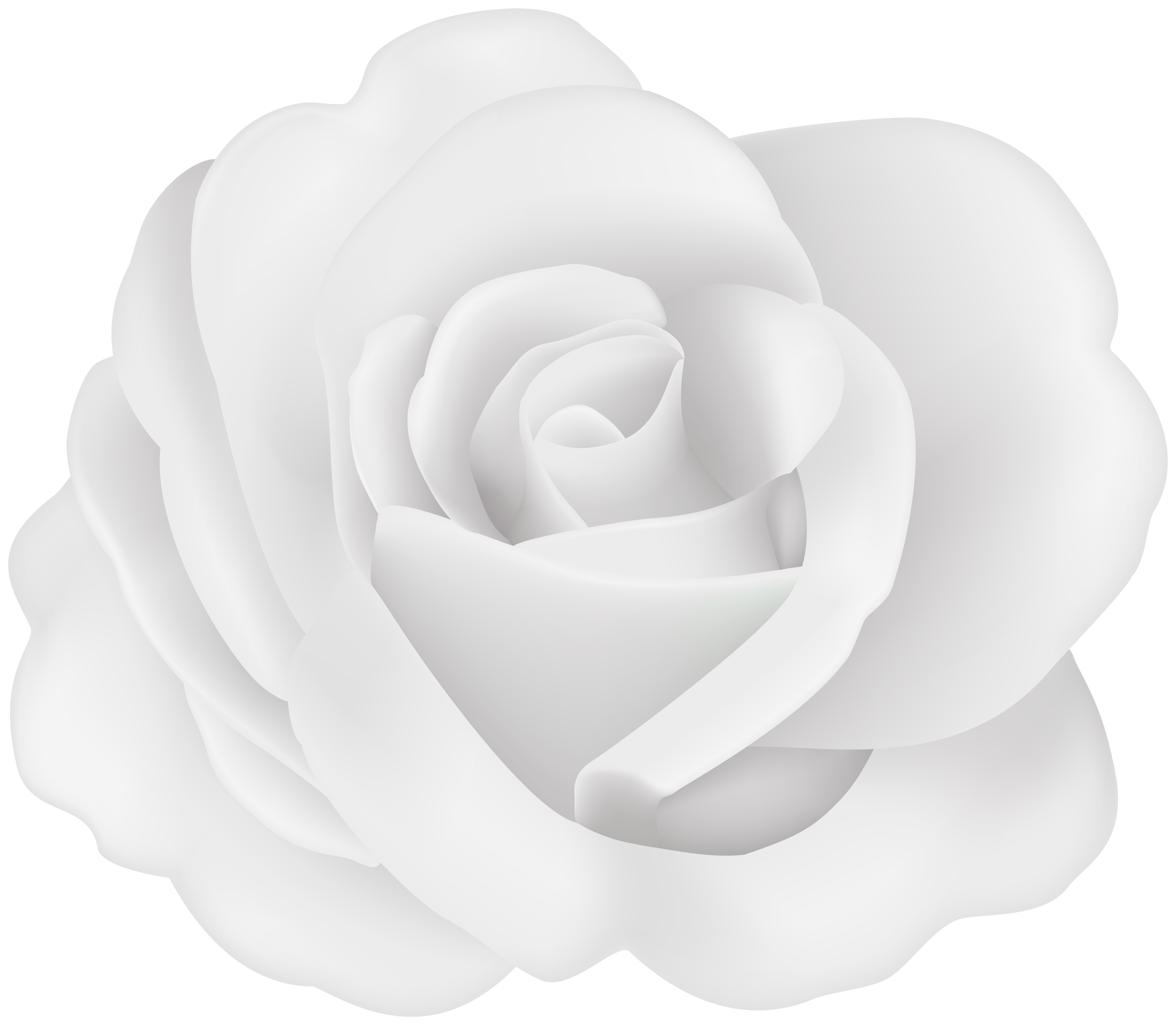 That you can download to your computer and use in your . Flower Rose White Transparent Image Gallery Yopriceville High Quality Free Images And Transparent Png Clipart