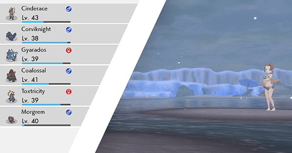 Pokemon go type chart | pokemon go weakness & strengths | gen 3. How To Build A Strong Team Team Building Tips Pokemon Sword Shield Gamewith