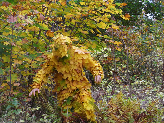 Body Works The Rapid Pulse International Performance Art Festival Gapers Block A C