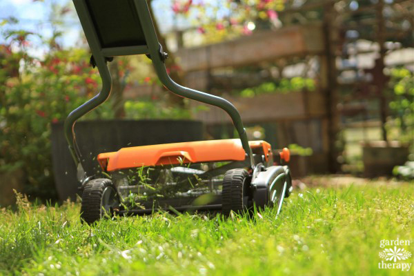 Lawn Care Unplugged How To Use A Reel Mower Garden Therapy