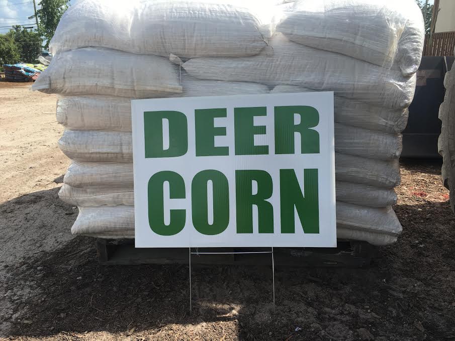 Family owned business supplying topsoil, mulch, decorative stone, brick pavers, retaining wall, and more! Garners Ferry Landscape Supply : Mulch Columbia SC, Palm