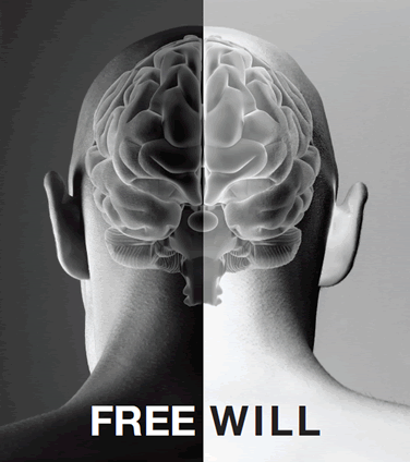 free will2