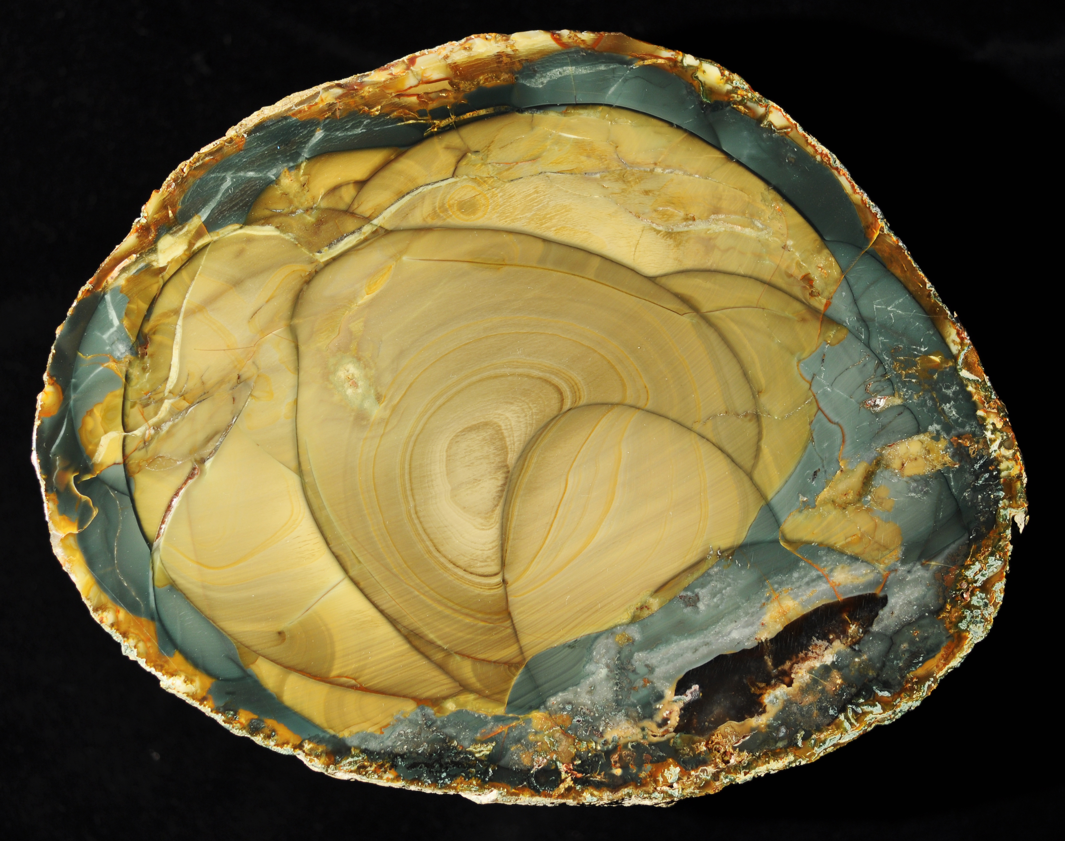 Meghan markle & kate middleton's j.crew favorites. Blue Mountain Jasper, Southeast Oregon - Gaumer's Jewelry