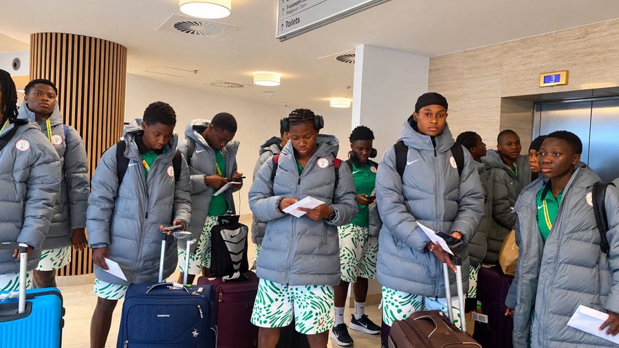 Falconets in Poland