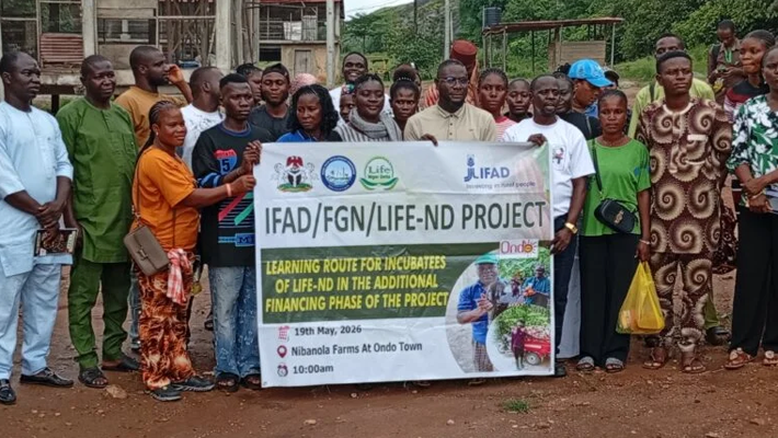 IFAD, FG train 697 young farmers