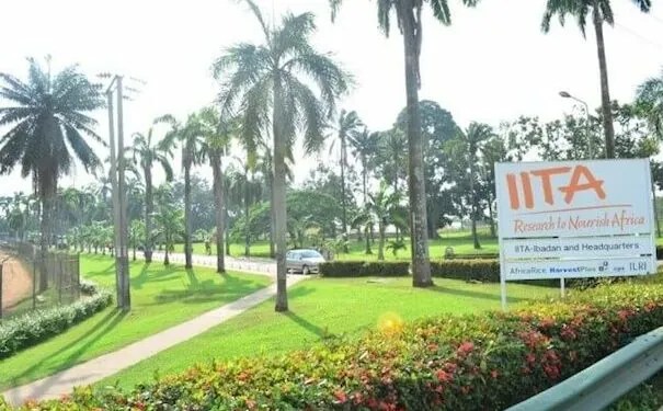 IITA building