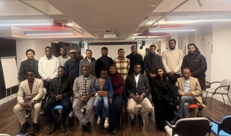 Afro-Arab Youths Council