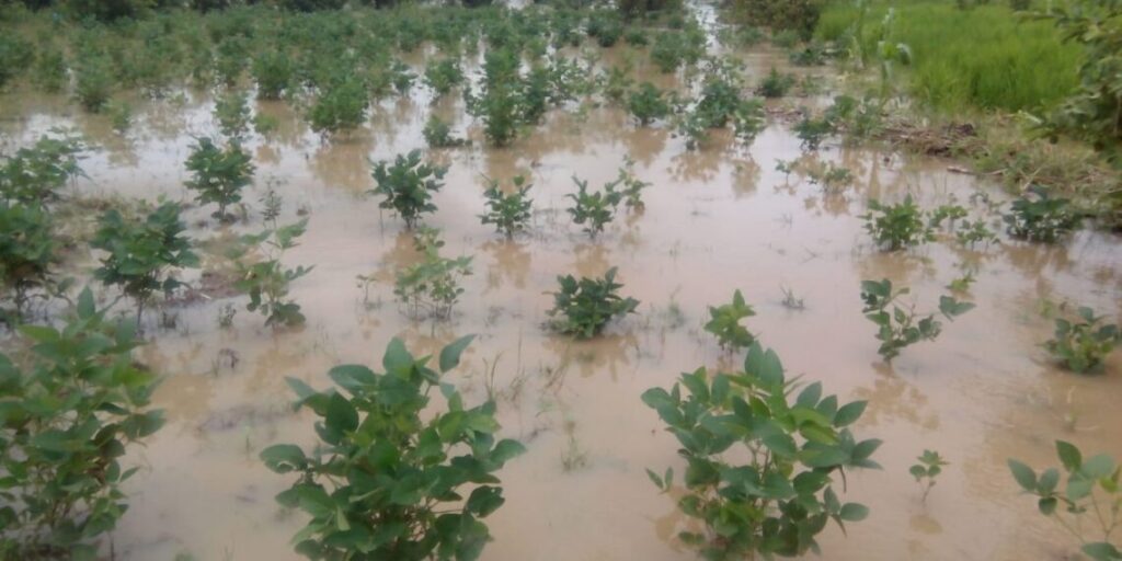 Flood