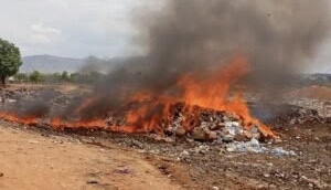 NAFDAC destroys counterfeit