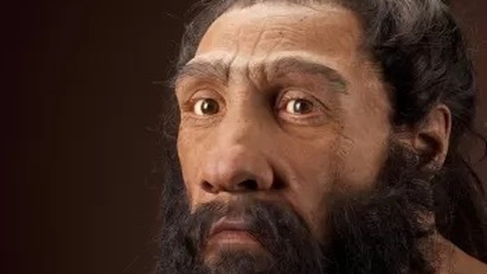 Neanderthal males