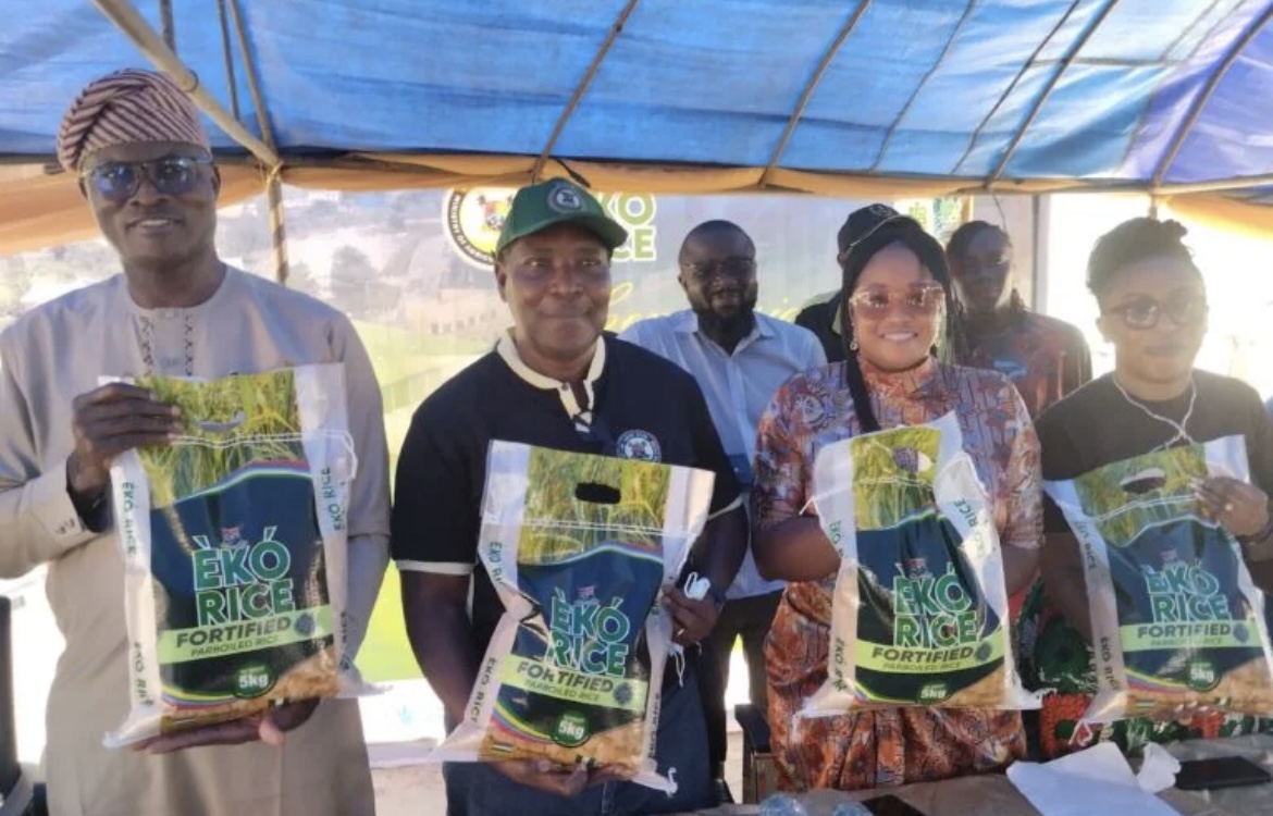 Lagos unveils biofortified rice