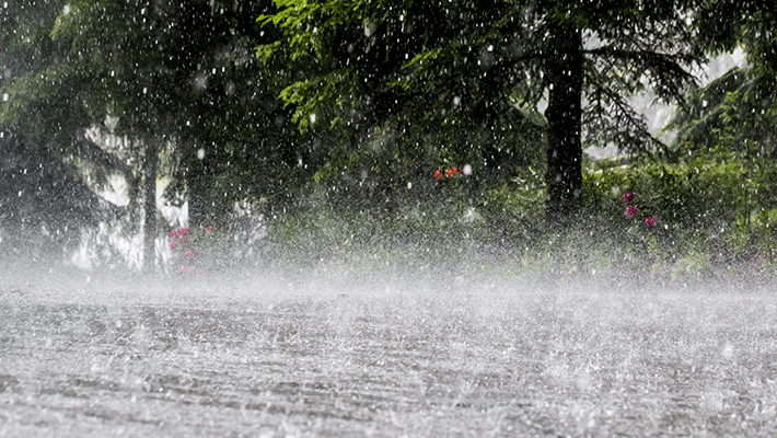 Rainstorm