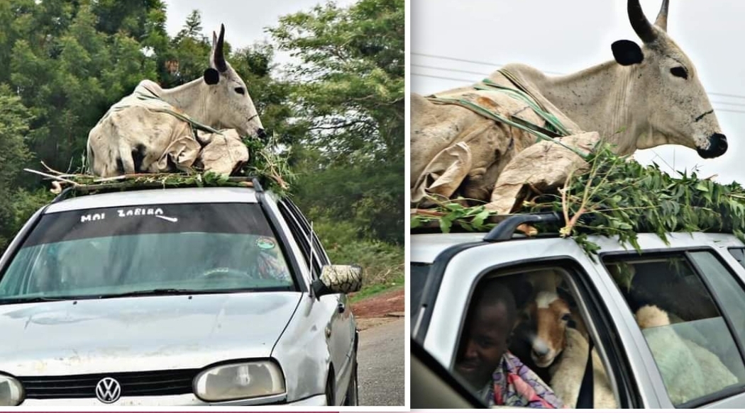 Overloading (Credit: Misbahu El-hamza)