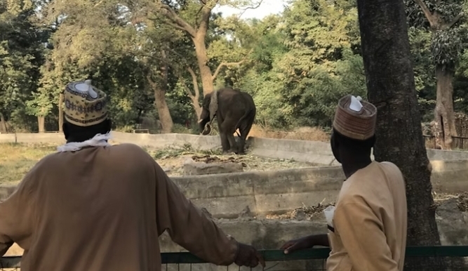 Photo in a zoo used to illustrate this story (Credit: Facebook)