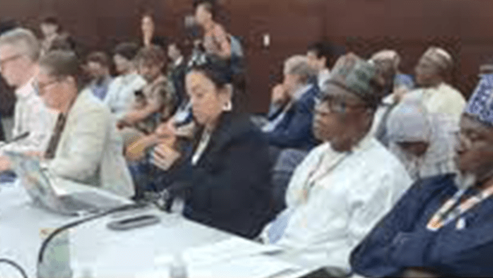 Momoh at COP30
