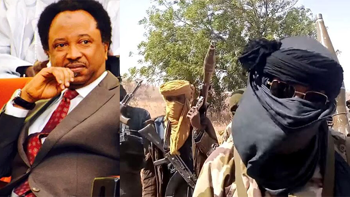 Shehu Sani and armed bandits