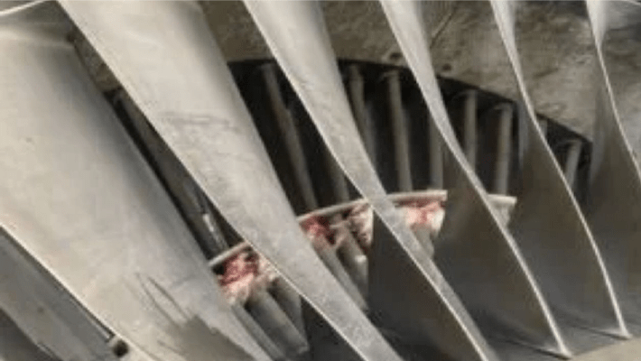 bird strike