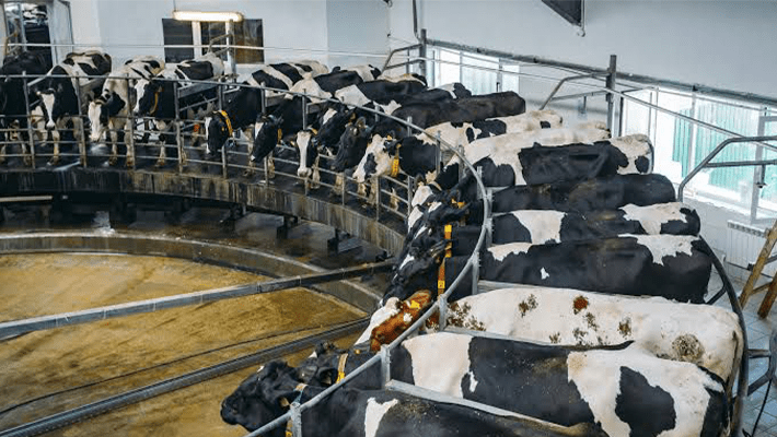 Factory farming